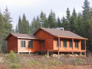 chalet en bois demi rond # 900 de 1 1/8 x 5 3/8 en pin noueux